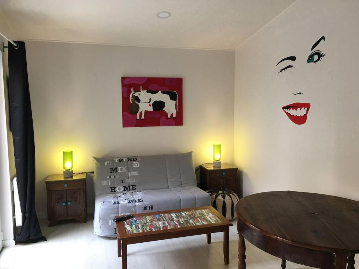 Le Pied A Terre Selestadien Sélestat Εξωτερικό φωτογραφία